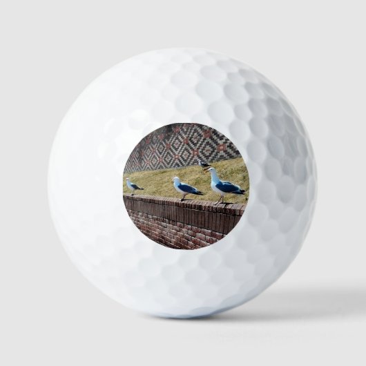 Seaguleren Golfballen (Voorkant)