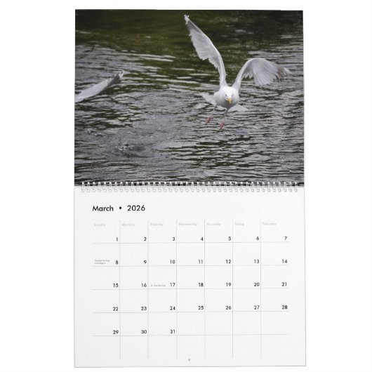 Seaguleren Kalender (Mar 2026)