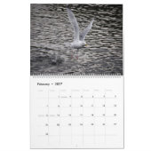 Seaguleren Kalender (Feb 2027)