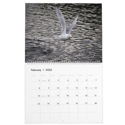 Seaguleren Kalender (Feb 2026)