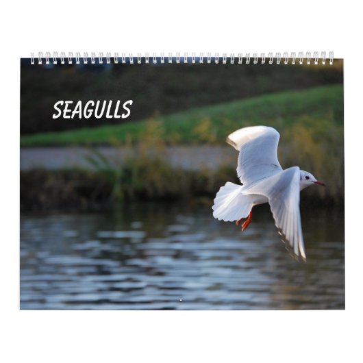 Seaguleren Kalender (Hoes)