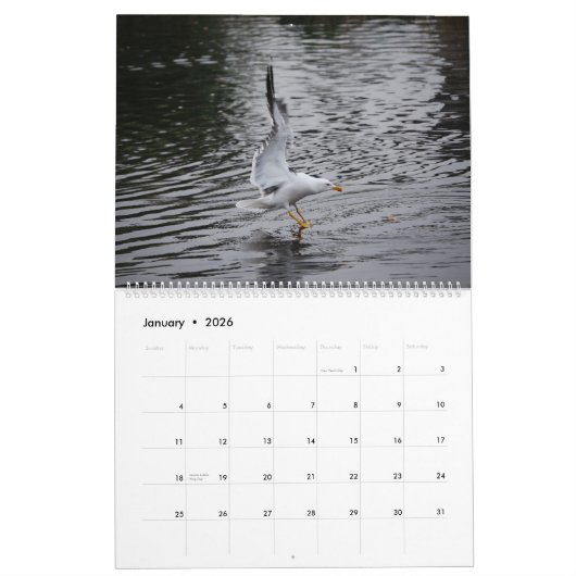 Seaguleren Kalender (Jan 2026)