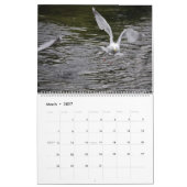 Seaguleren Kalender (Mar 2027)