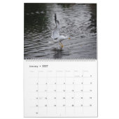 Seaguleren Kalender (Jan 2027)