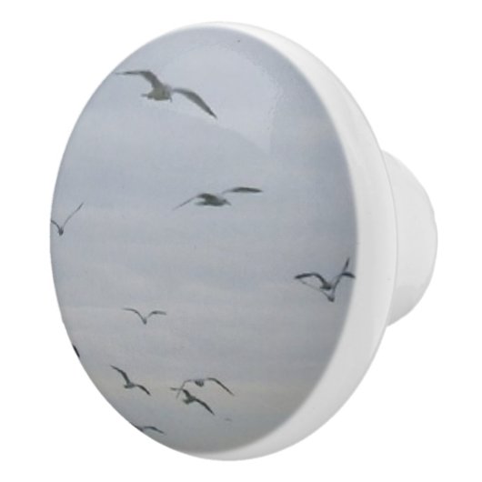 Seaguleren Keramische Knop (Rechts)