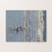 Seaguleren Legpuzzel (Horizontaal)