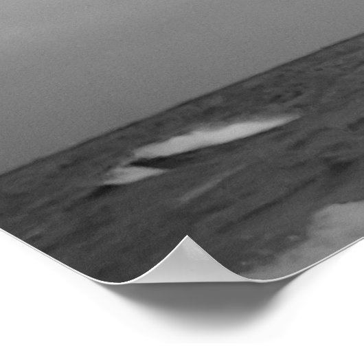 Seaguleren Poster (Hoek)