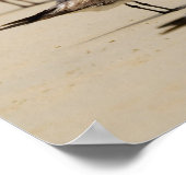 Seaguleren Poster (Hoek)