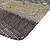 Seaguleren Snijplank (Hoek)