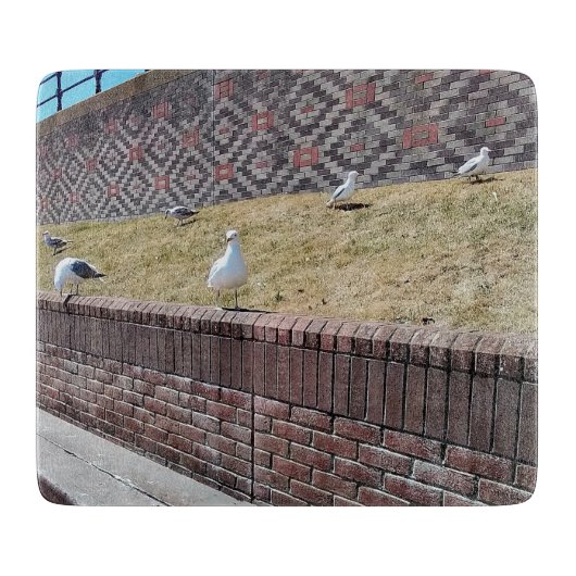 Seaguleren Snijplank (Voorkant)