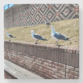 Seaguleren Stenen Onderzetter
