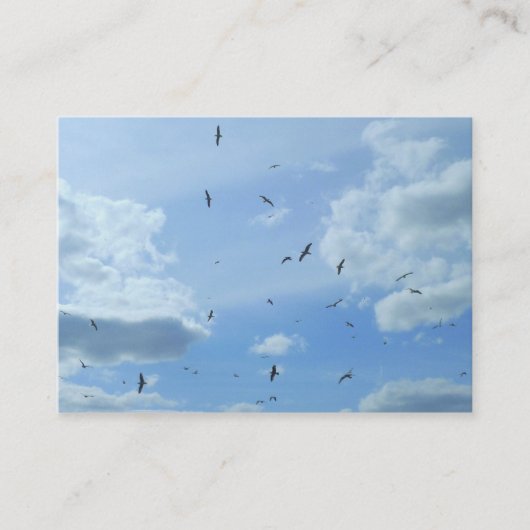 Seaguleren Visitekaartje (Voorkant)