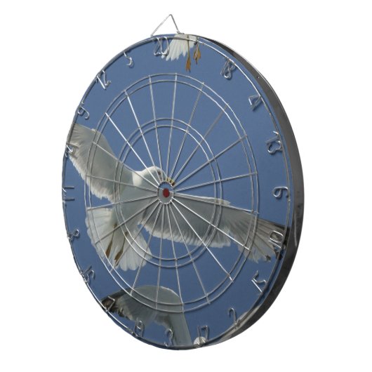 seagull-11.jpg dartbord (Voorkant Rechts)