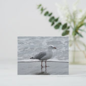 Seagull 2 briefkaart (Staand voorkant)