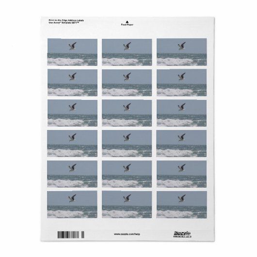 Seagull-adreslabel Etiket (Full Sheet)
