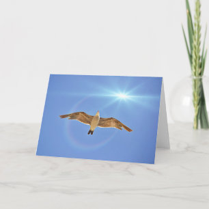 Seagull and Sun Scripture Card John 8:36 Kaart