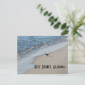 Seagull Beach Travel Briefkaart (Staand voorkant)