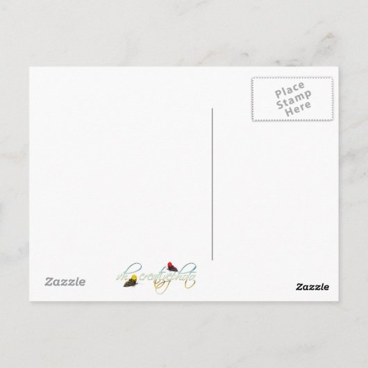 Seagull Beach Travel Briefkaart (Achterkant)