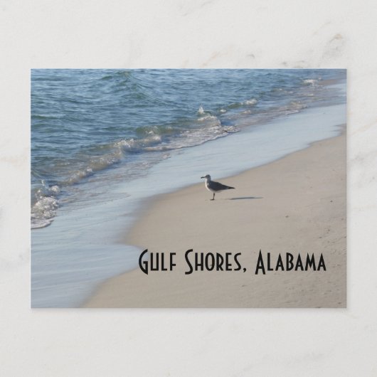 Seagull Beach Travel Briefkaart (Voorkant)