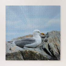Seagull bij de kust