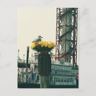 "Seagull bij Erie, Pa Docks"-Wenskaart Briefkaart