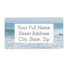 Seagull bij het strand in Californië