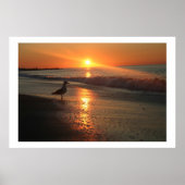 Seagull bij Sunrise - Framed Print (Voorkant)