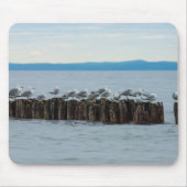 Seagull Breaktime Muismat (Voorkant)