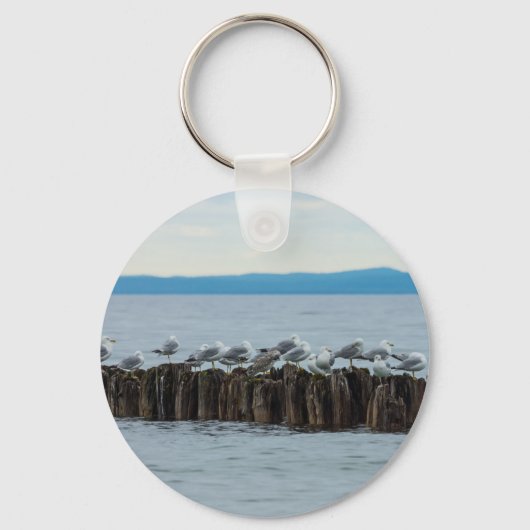 Seagull Breaktime Sleutelhanger (Voorkant)