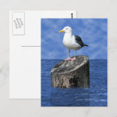 SEAGULL BRIEFKAART (Voorkant / Achterkant)