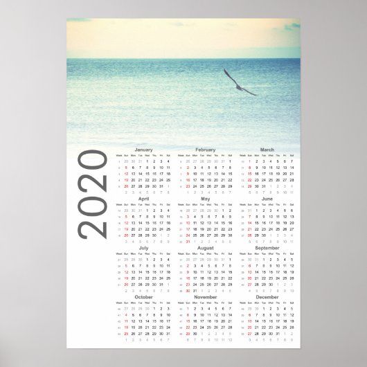 Seagull Calendar 2020 Poster (Voorkant)