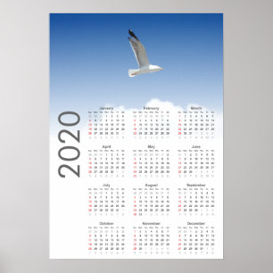 Seagull Calendar 2020 Poster