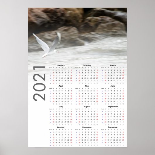 Seagull Calendar 2021 Poster - Sunday first (Voorkant)