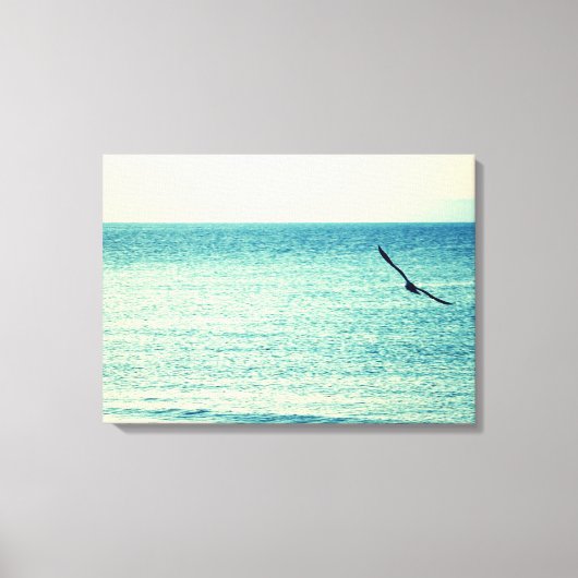 Seagull Canvas (Voorkant)