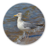 Seagull Ceramic Knob. Keramische Knop (Voorkant)