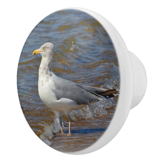 Seagull Ceramic Knob. Keramische Knop (Rechts)