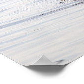 Seagull Crab Fishing Photo Poster (Hoek)