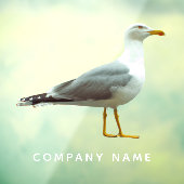 Seagull Cutout Fun Realistisch Nautical Bird Custo Raamsticker (Vel 3)