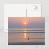 Seagull Daytona Beach FL Ocean Sunrise Briefkaart (Voorkant / Achterkant)