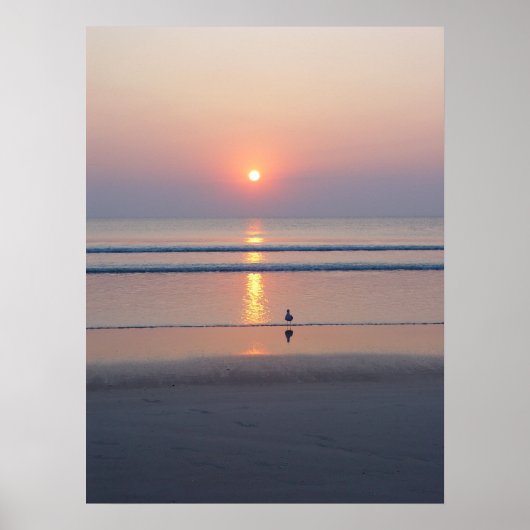 Seagull Daytona Beach FL Ocean Sunrise Poster (Voorkant)
