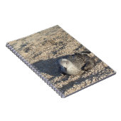 Seagull die de Sun Summer Photography leuk vindt Notitieboek (Rechterzijde)