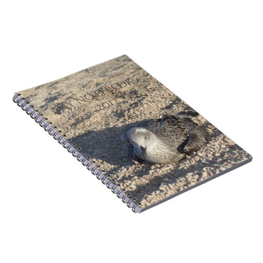 Seagull die de Sun Summer Photography leuk vindt Notitieboek (Rechterzijde)