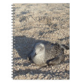 Seagull die de Sun Summer Photography leuk vindt Notitieboek (Voorkant)
