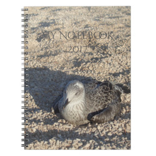 Seagull die de Sun Summer Photography leuk vindt Notitieboek