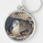 Seagull die de Sun Summer Photography leuk vindt Sleutelhanger (Voorkant)