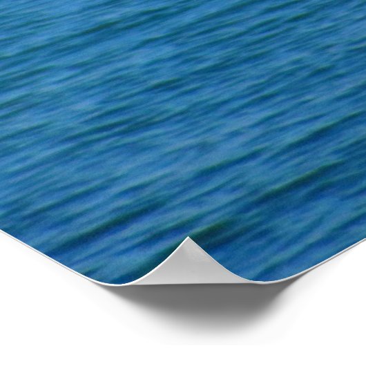 Seagull die oceaan bekijkt poster (Hoek)