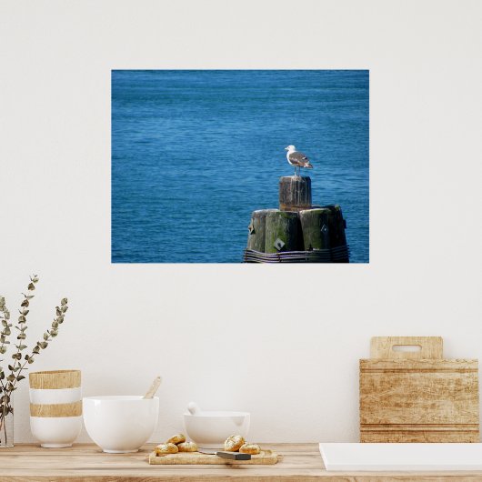 Seagull die oceaan bekijkt poster (Keuken)