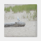 Seagull die op Logon Beach Photo Magnet zit (Voorkant)