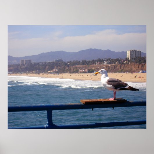Seagull door Santa Monica Beach Poster (Voorkant)
