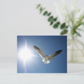 Seagull en Sunligh Briefkaart (Staand voorkant)